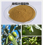 Olive Leaf Extract