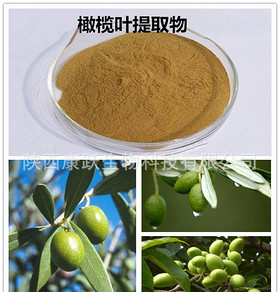 Olive Leaf Extract