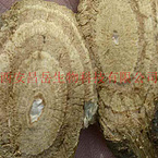 Kudzu Root Extract