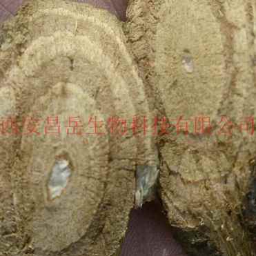 Kudzu Root Extract