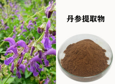 Salvia miltiorrhiza Extract；Danshen Extract