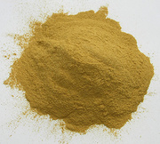American Ginseng  Extract