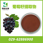 Grape seed extract