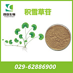 asiatic pennywort herb extract、Hydrocotyle asiatica extract