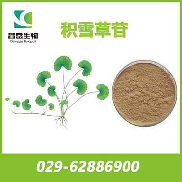 asiatic pennywort herb extract、Hydrocotyle asiatica extract