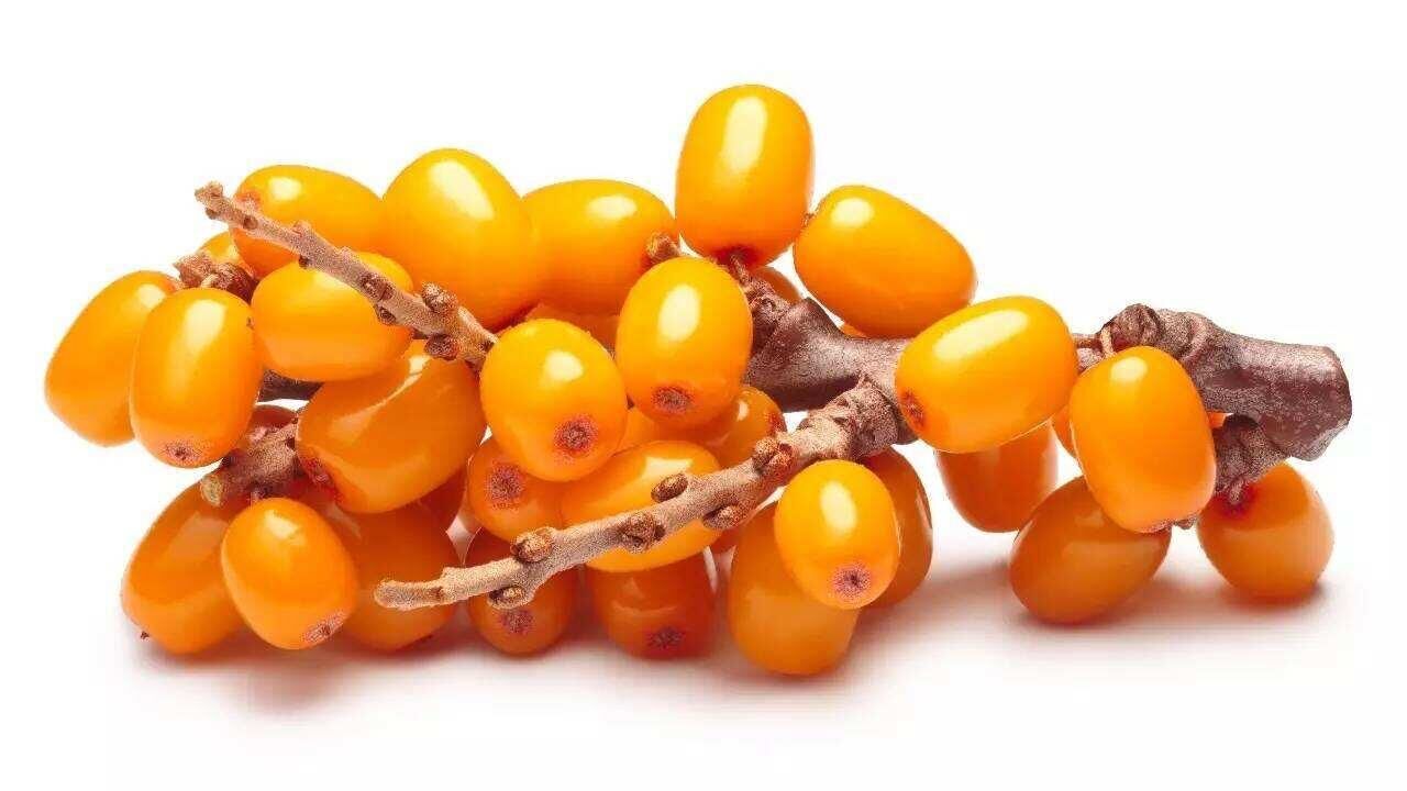 Hippophae Rhamnoides Extract