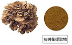 Maitake mushroom Extract