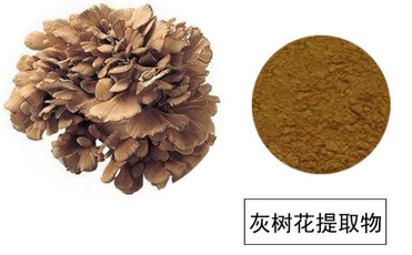 Maitake mushroom Extract