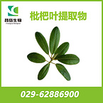 Loquat Leaves Extract