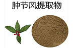 Glabrous Sarcandra Herb Extract