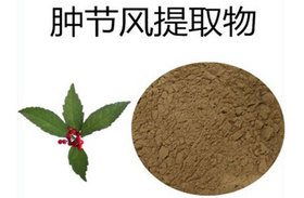 Glabrous Sarcandra Herb Extract