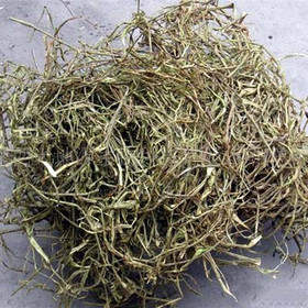 White Willow Bark Extract