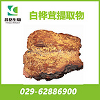 Chaga Mushroom Extract