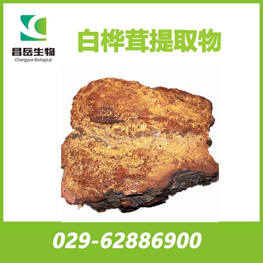 Chaga Mushroom Extract