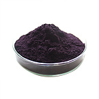 Blueberry extract