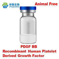 Recombinant Human Platelet Derived Growth Factor-BB (PDGF-BB)