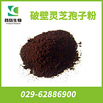 Ganoderma Broken-down Wall spore powder