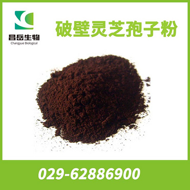 Ganoderma Broken-down Wall spore powder