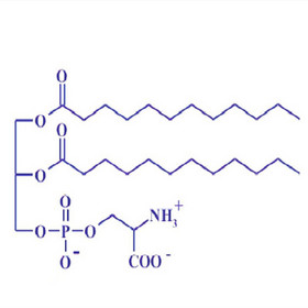 phosphatidylserine