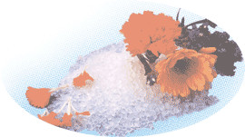 Flowers dry silica gel