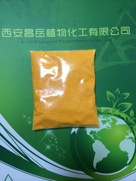 Coenzyme Q10