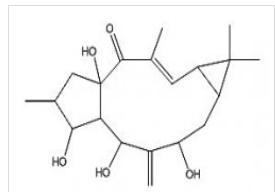 7β - hydroxy thousand gold diterpenoid alcohols