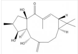 Thousand gold diterpenoid alcohols