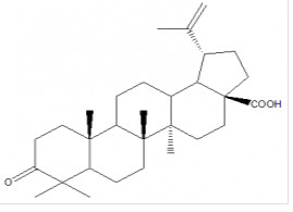 Birch lipid keto acid