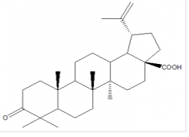Birch lipid keto acid