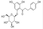 Phlorizin