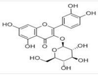 Isoquercitrin