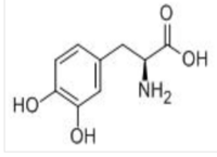 Levodopa