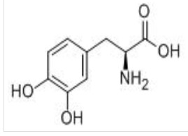 Levodopa