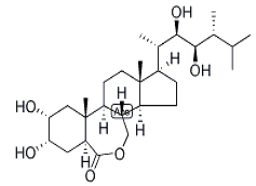 24-epibrassinolide