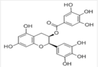 Epigallocatechin gallate