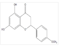 Acacia