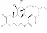 Java brucea fruit element A