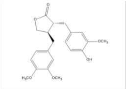 Burdock glycosides yuan