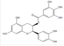 (-)-Epicatechin gallate