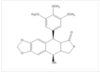 Ghost mortar toxin