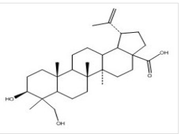 23 - hydroxy birch acid