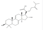 Dehydrotumulosic Acid