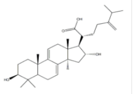 Dehydrotumulosic Acid