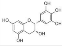 Epigallocatechin