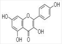 Kaempferol