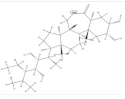 28-homobrassinolide