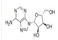 Adenosine