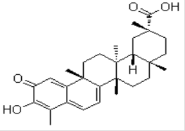 Celastrol