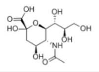 N-Acetylneuraminic acid