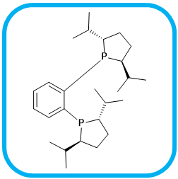 1,2-bis((2S,5S)-2,5-diisopropylphospholan-1-yl)benzene